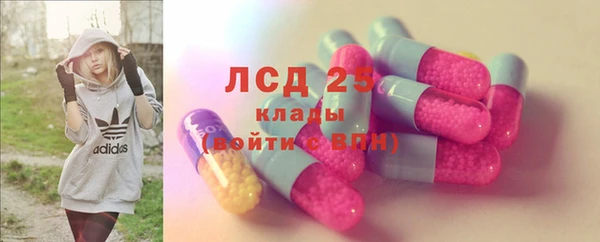 a pvp Алзамай
