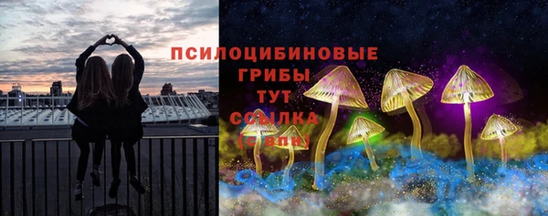 МДПВ Алексеевка