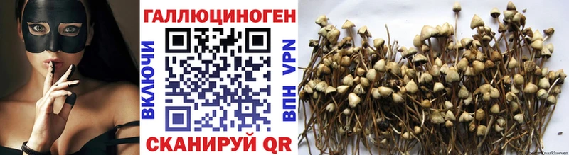 наркотики  Крымск  Галлюциногенные грибы мухоморы 